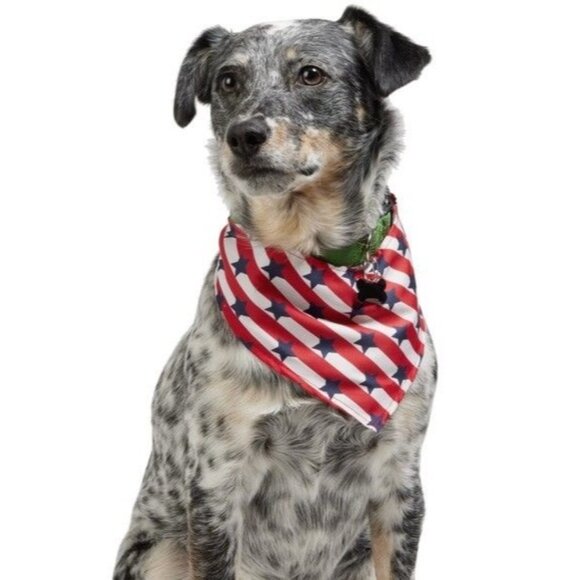 Petco Other - $4 WHEN BUNDLED Patriotic Red White Blue American Flag Dog Bandana L/XL